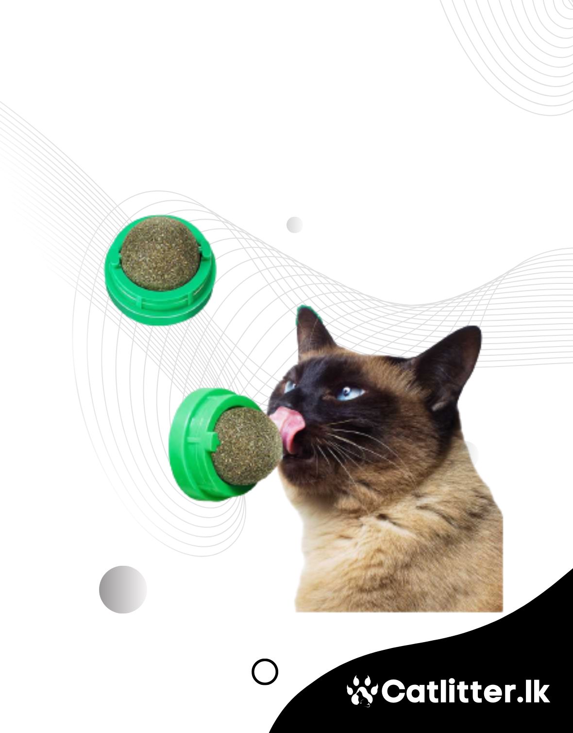 Catnip Ball With Holder