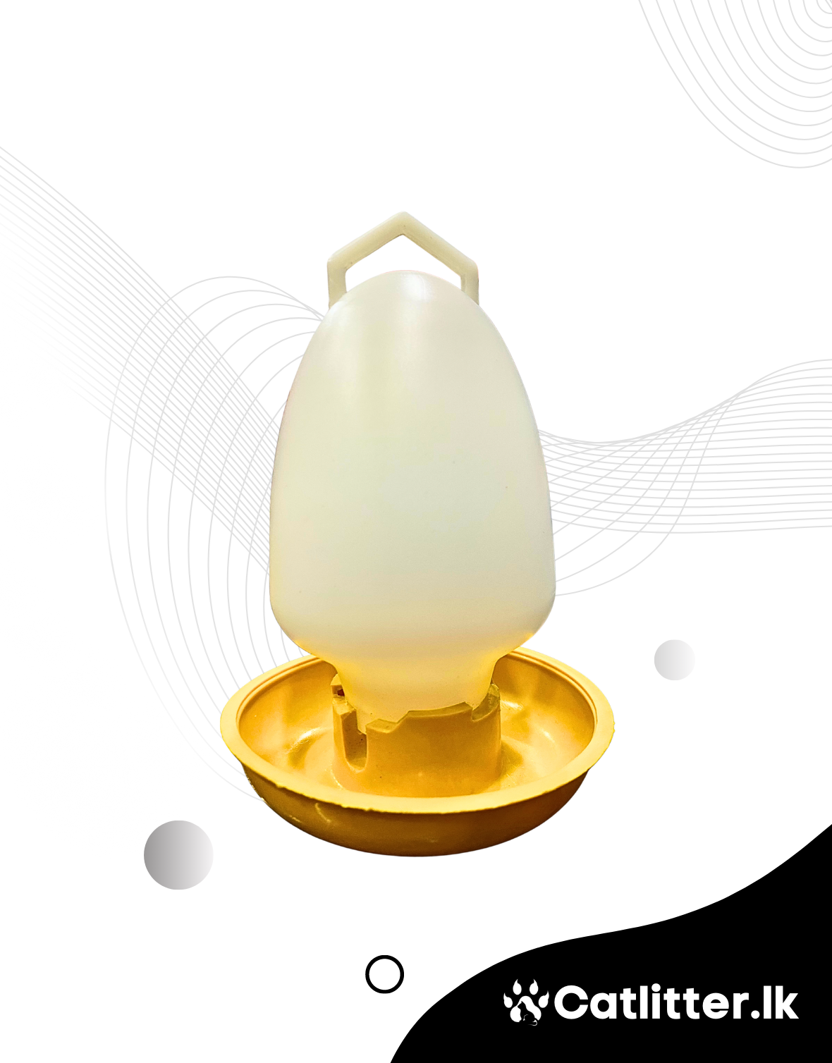 Chicken Drink Drinking Water Tray