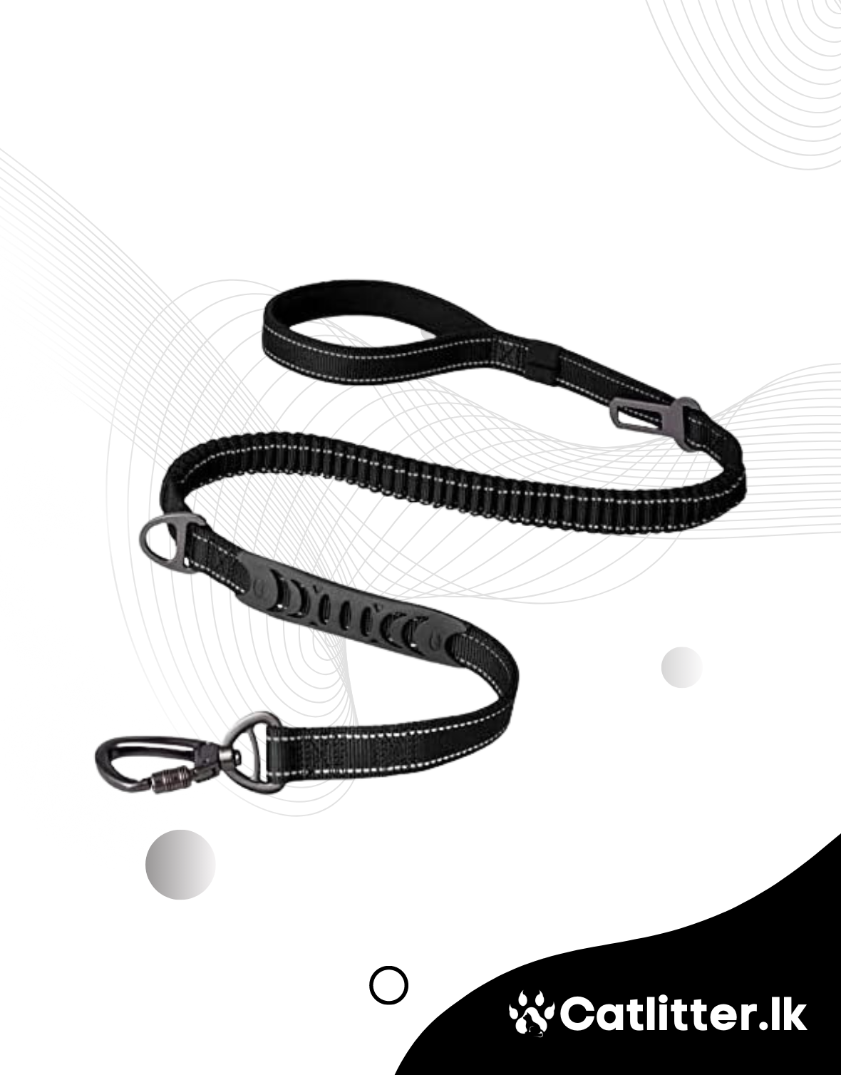 Reflective Dog Leash (Stretchable)