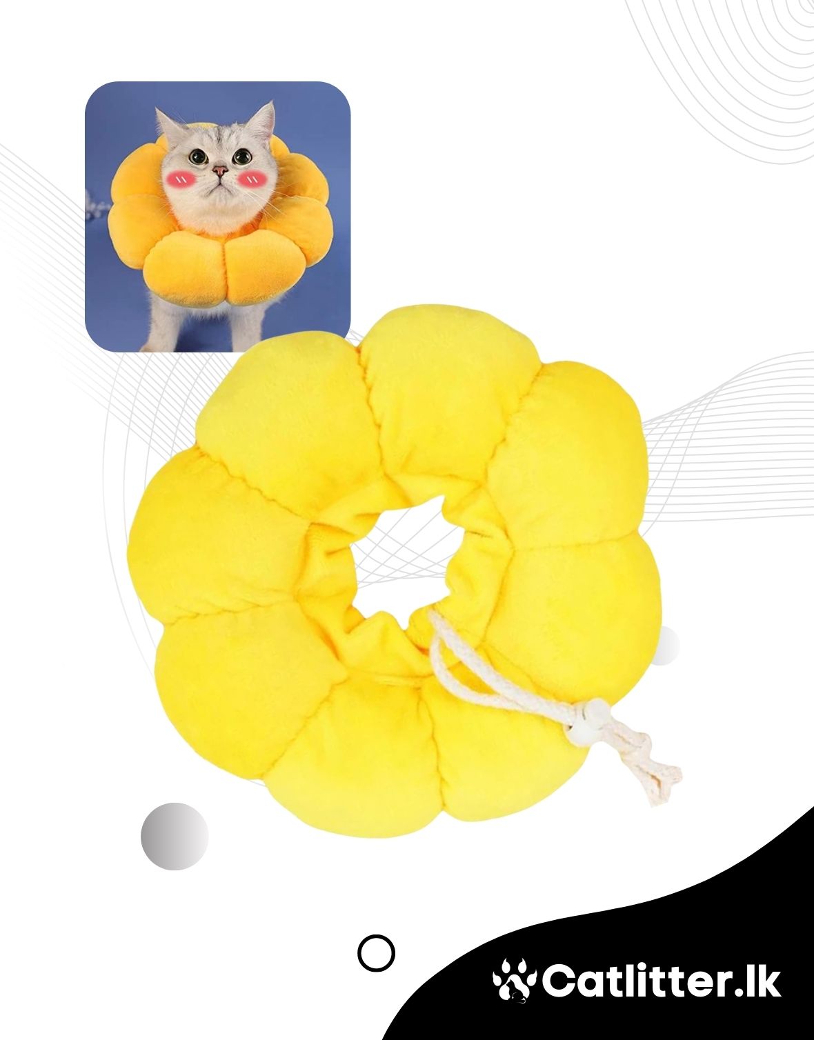 SunFlower Collar for Cats & Dogs