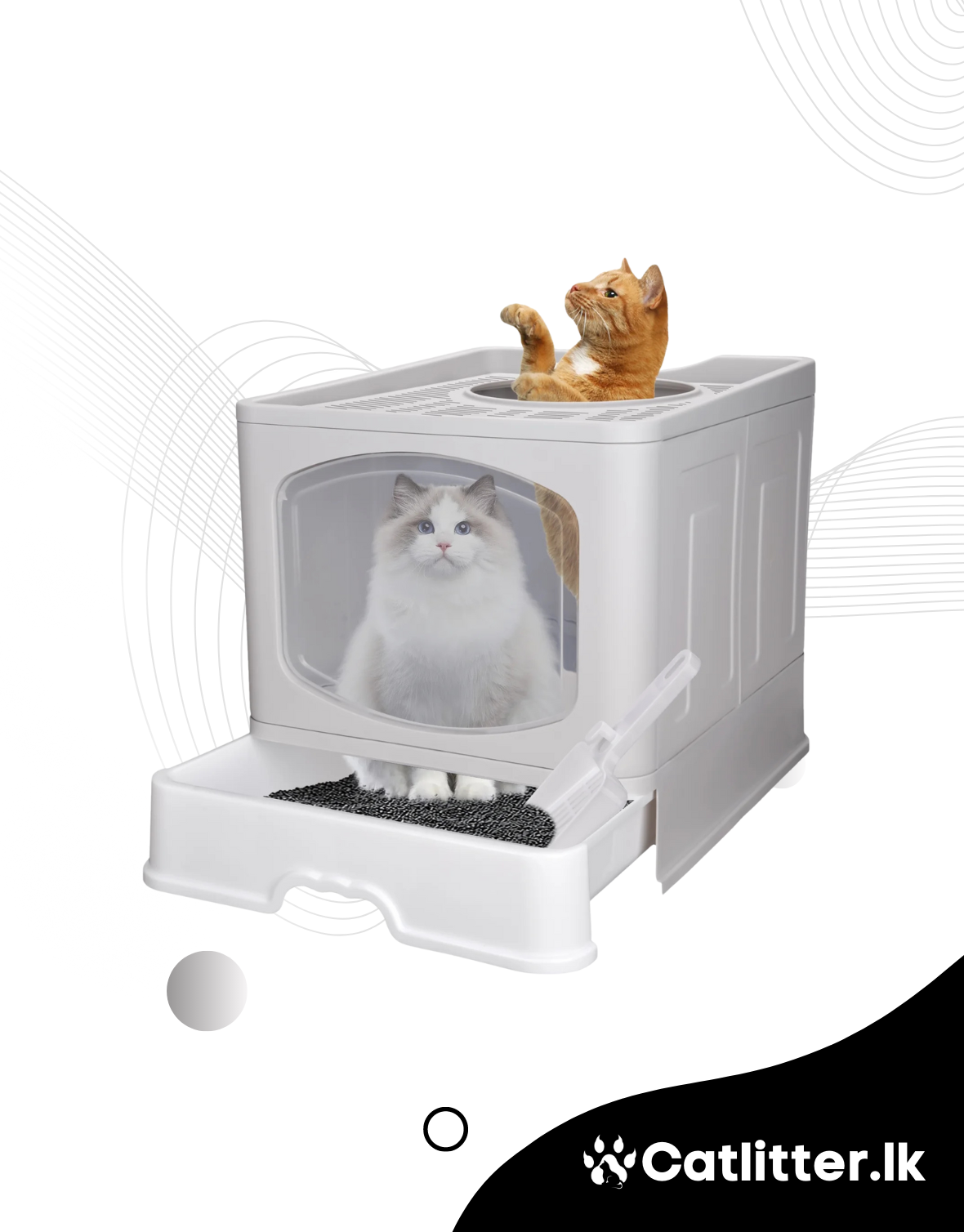 Top Entry Cat Litter Box with Lid