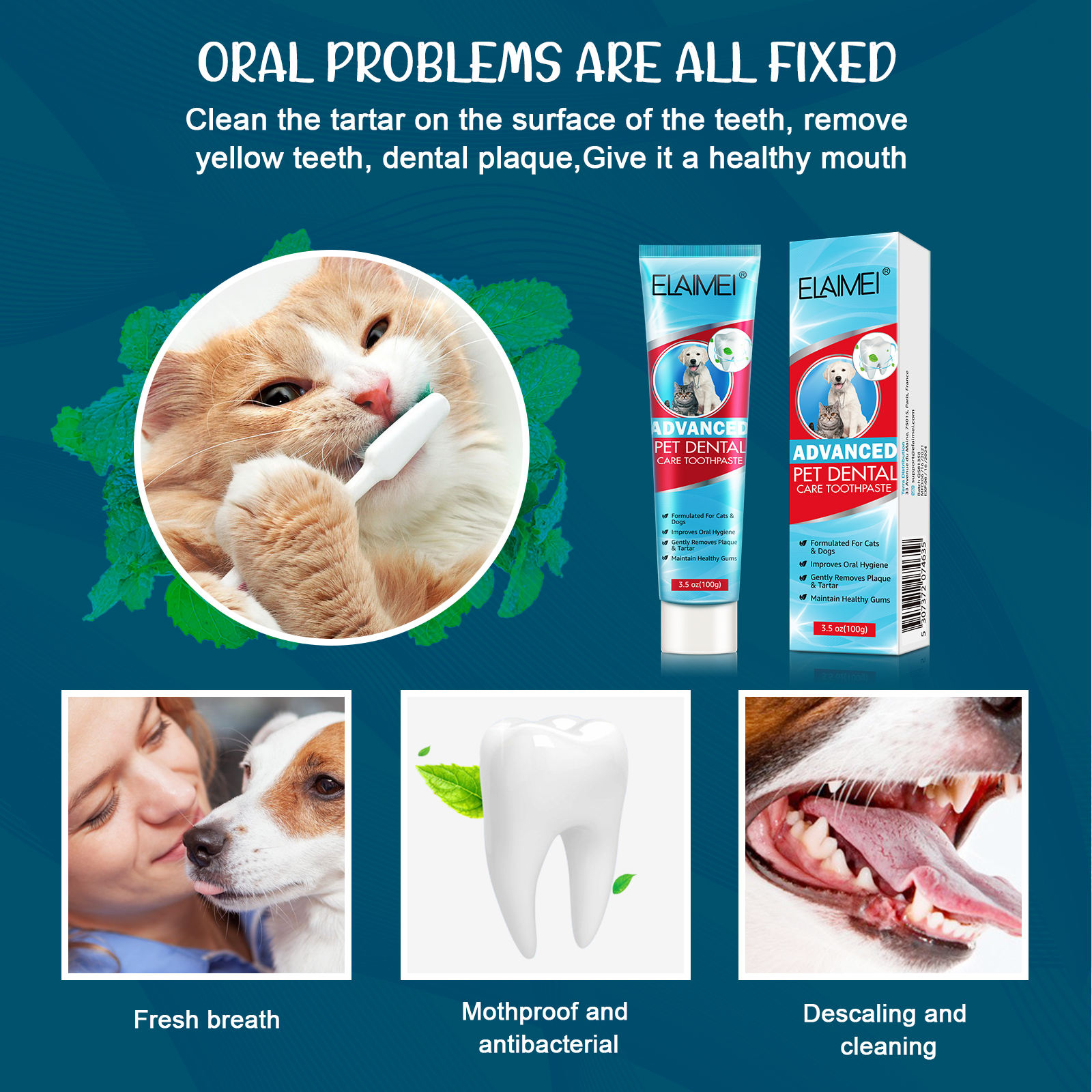 advanced-pet-dental-care-toothpaste-100g-1764845228
