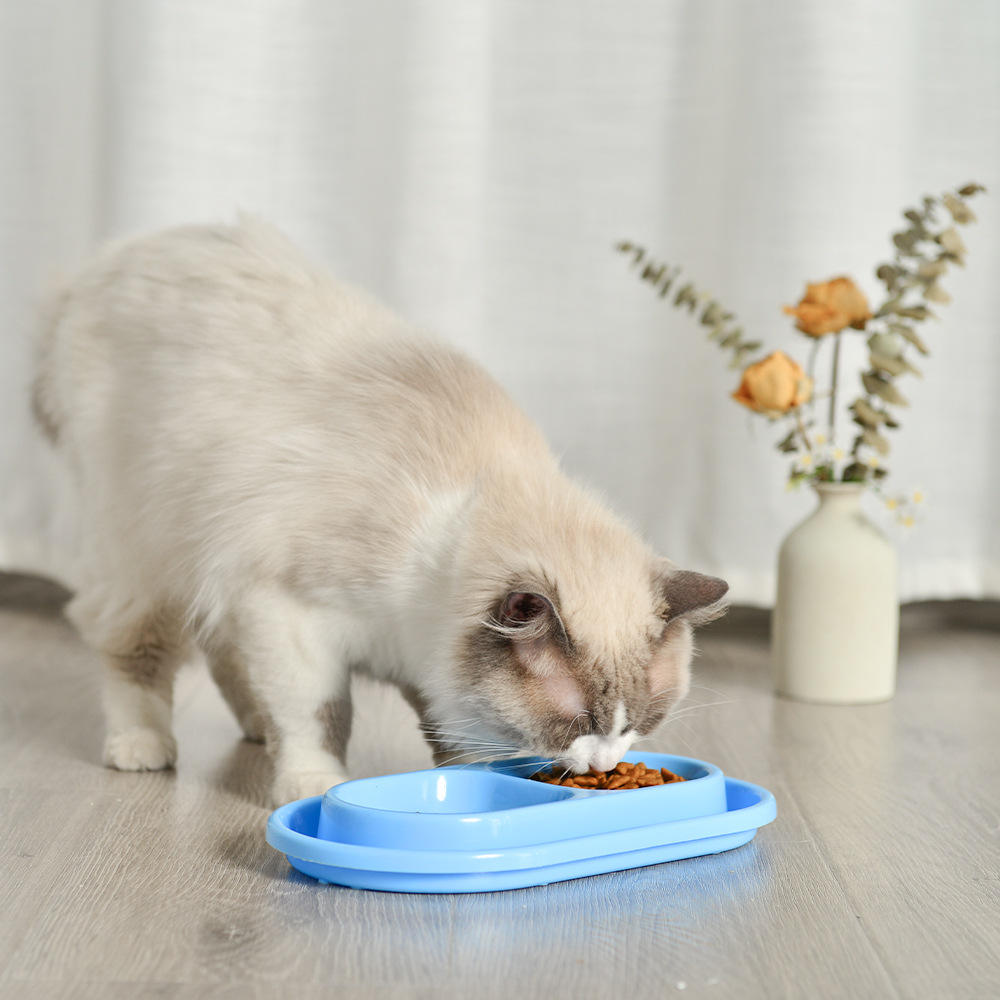ant-away-pet-food-bowl-for-cat-1764747676