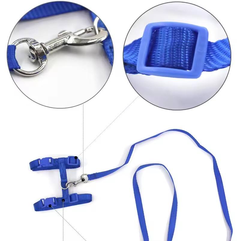 cat-harness-kit-1764836681