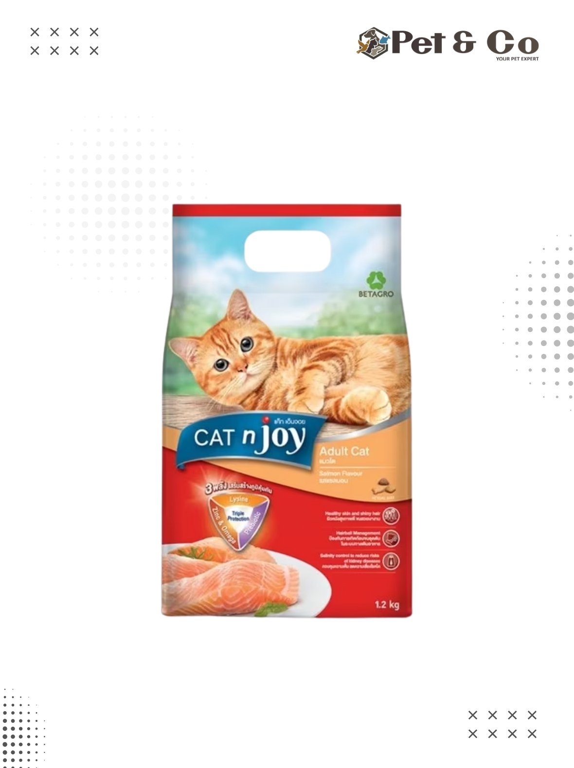 CAT n joy Adult Salmon Fish Flavour
