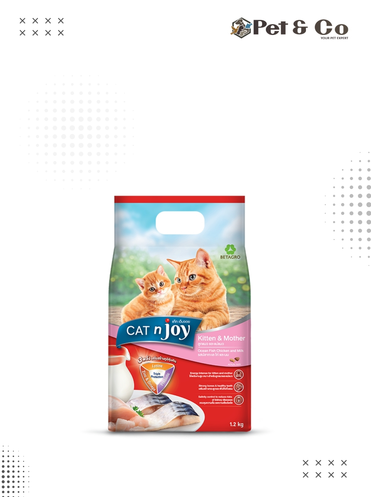 CAT n joy Kitten and Mother Ocean Fish Chicken and Milk Flavour