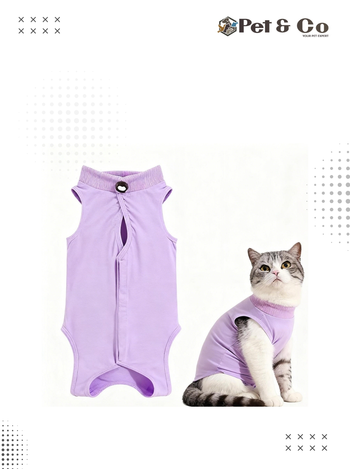 Cat Recovery Suit for Abdominal Wounds or Skin Diseases