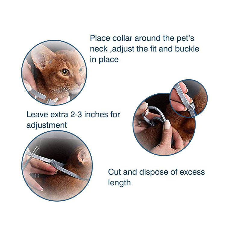 flea-and-tick-cat-collar-1768554185