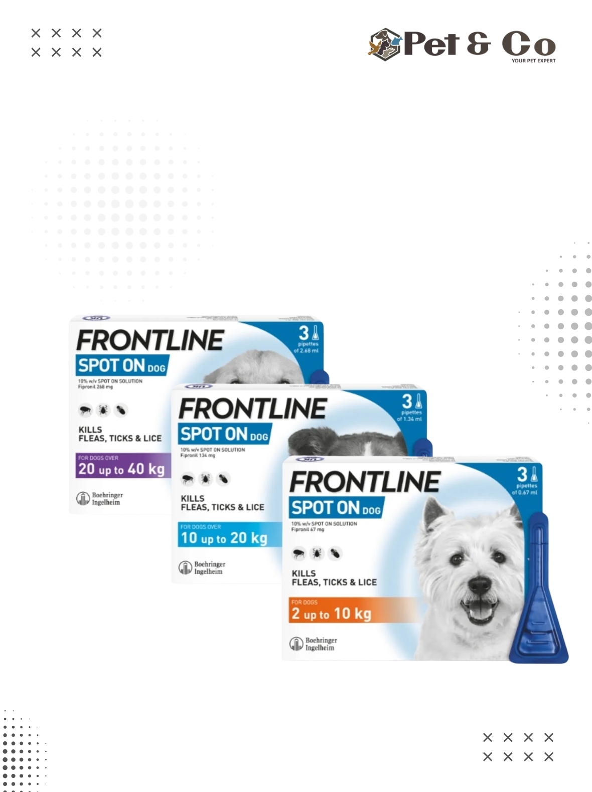 Frontline SPOT ON (1 Pippett)