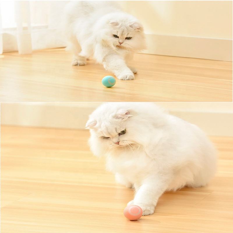gravitational-rolling-ball-for-cats-kittens-1764755782