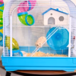 hamster-cage-size-l37cmh37cmw27cm-1768207795