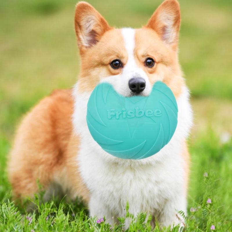 natural-rubber-frisbee-for-dogs-1767955609