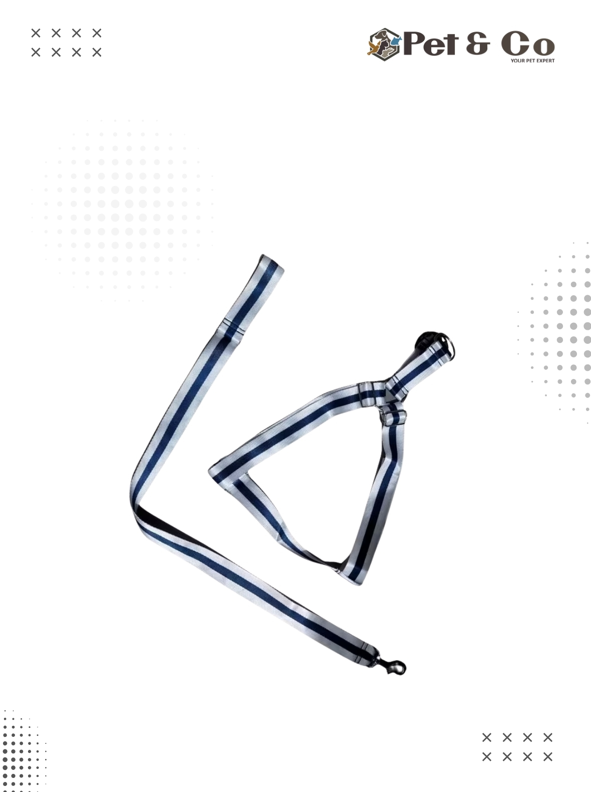 Nylon White Leash & Harness