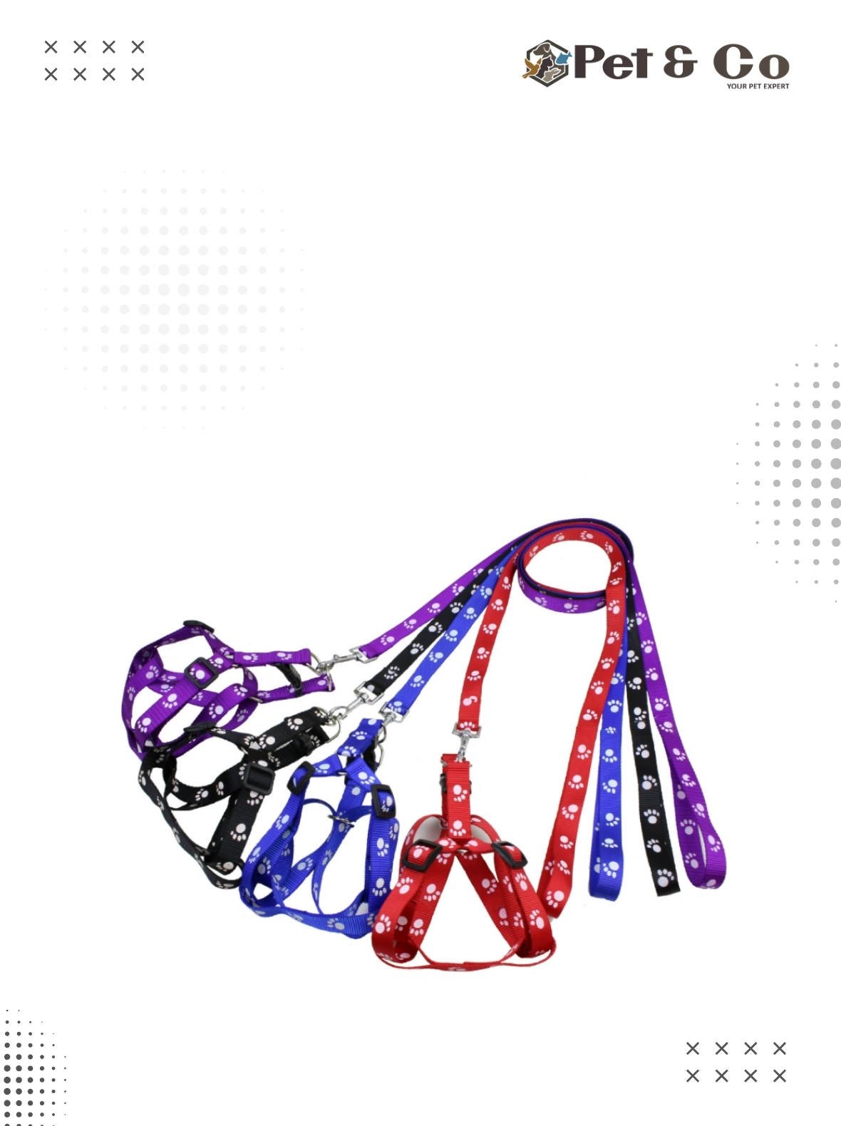 Paw Print Small Harness and Leash