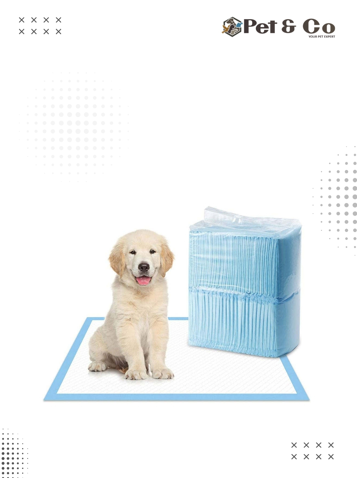 Pet Diaper Mat Training Pad Big 1pcs