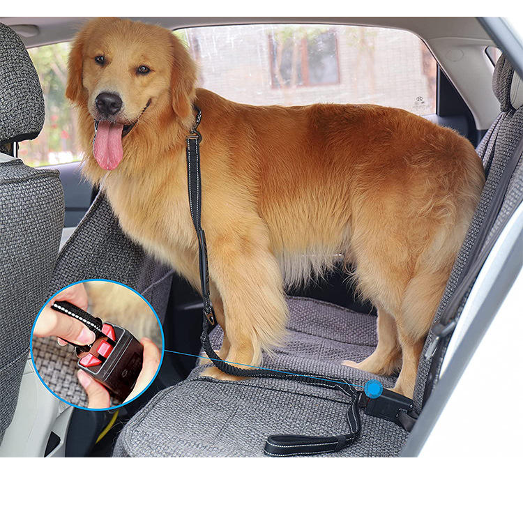 reflective-dog-leash-stretchable-1766741622