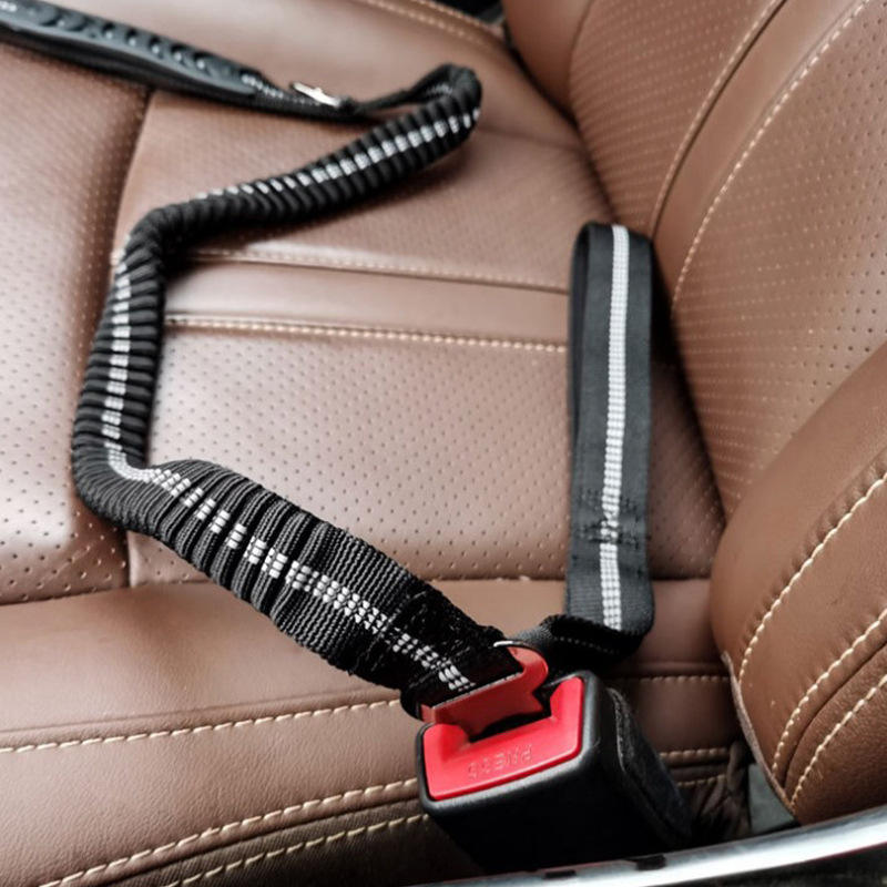 reflective-dog-leash-stretchable-1766741624