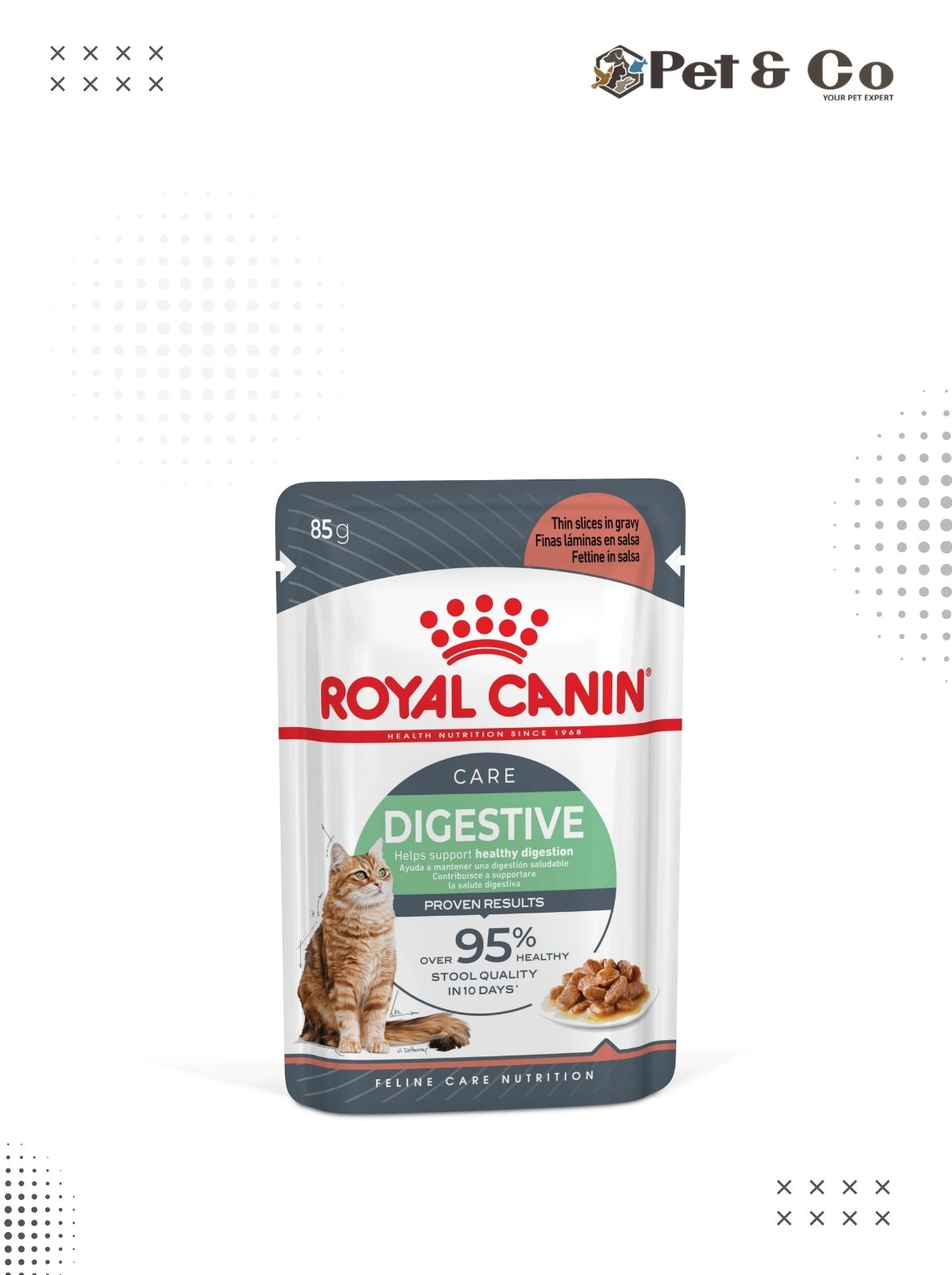 ROYAL CANIN Digestive Care in Gravy Wet Food 85g