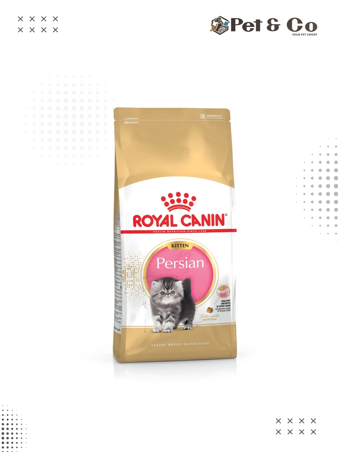 Royal Canin Persian Kitten