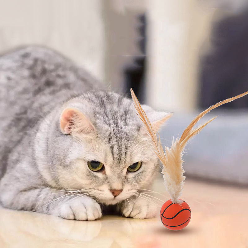 rubber-feather-ball-toy-for-cats-1763446162