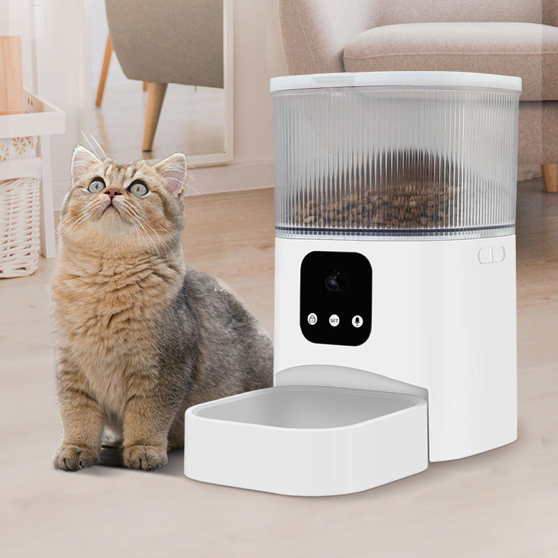 smart-pet-feeder-1764832061