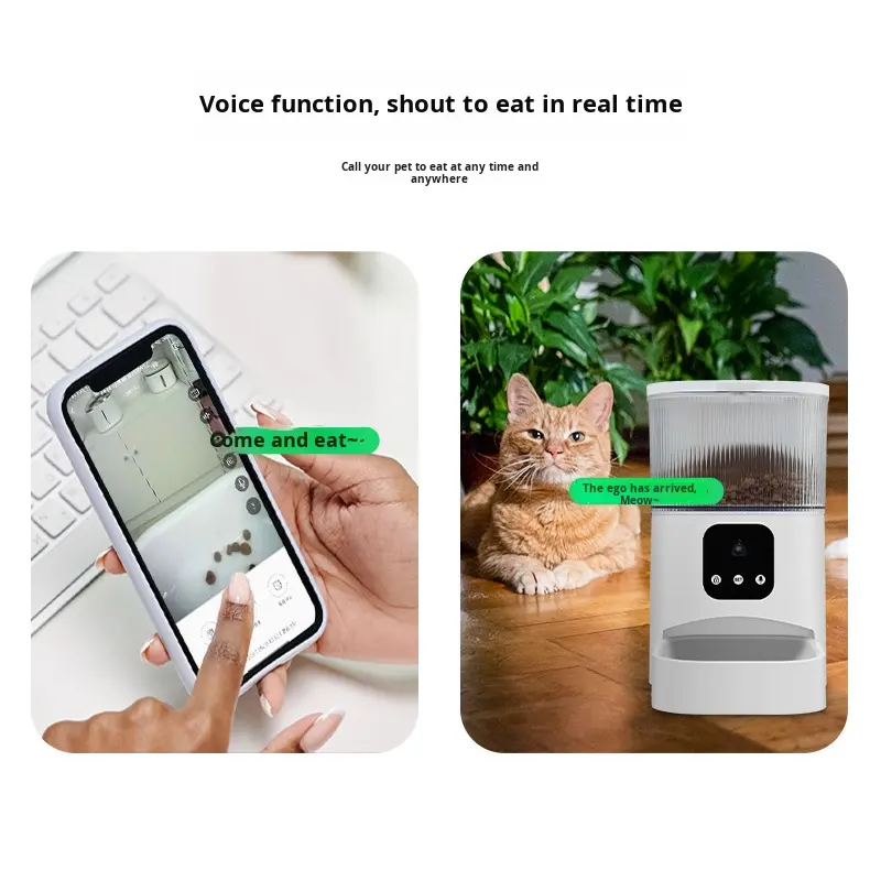 smart-pet-feeder-1764832062
