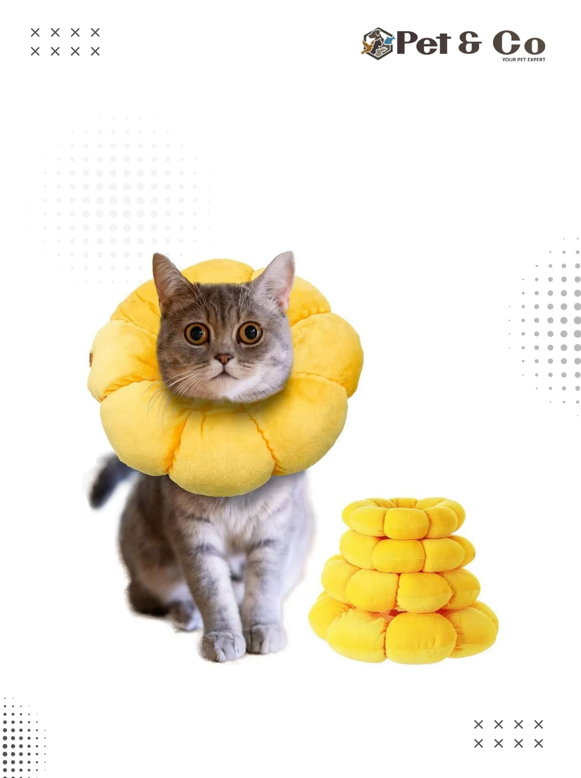 SunFlower Collar for Cats & Dogs