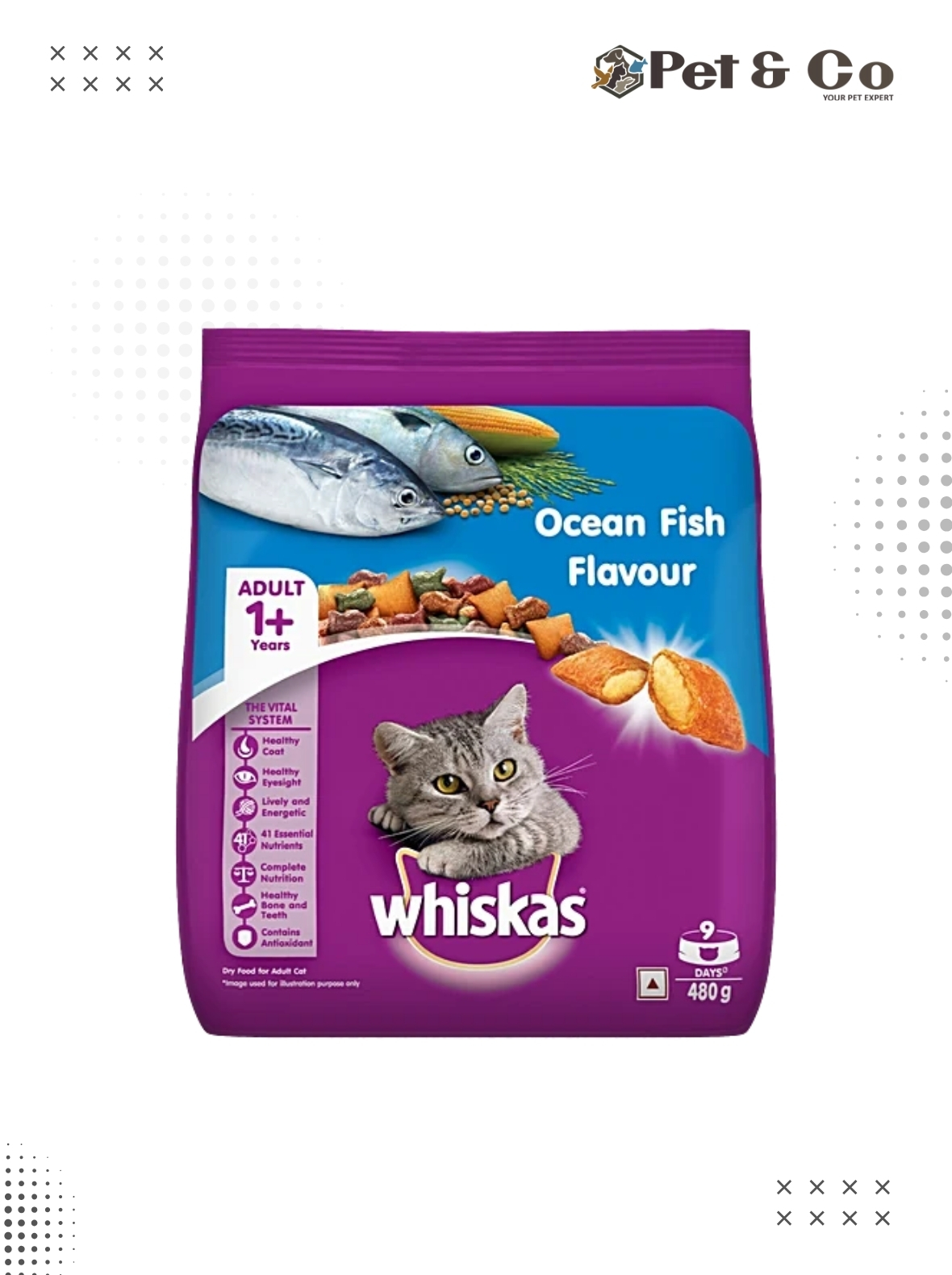 Whiskas Dry Food(Adult) Ocean Fish