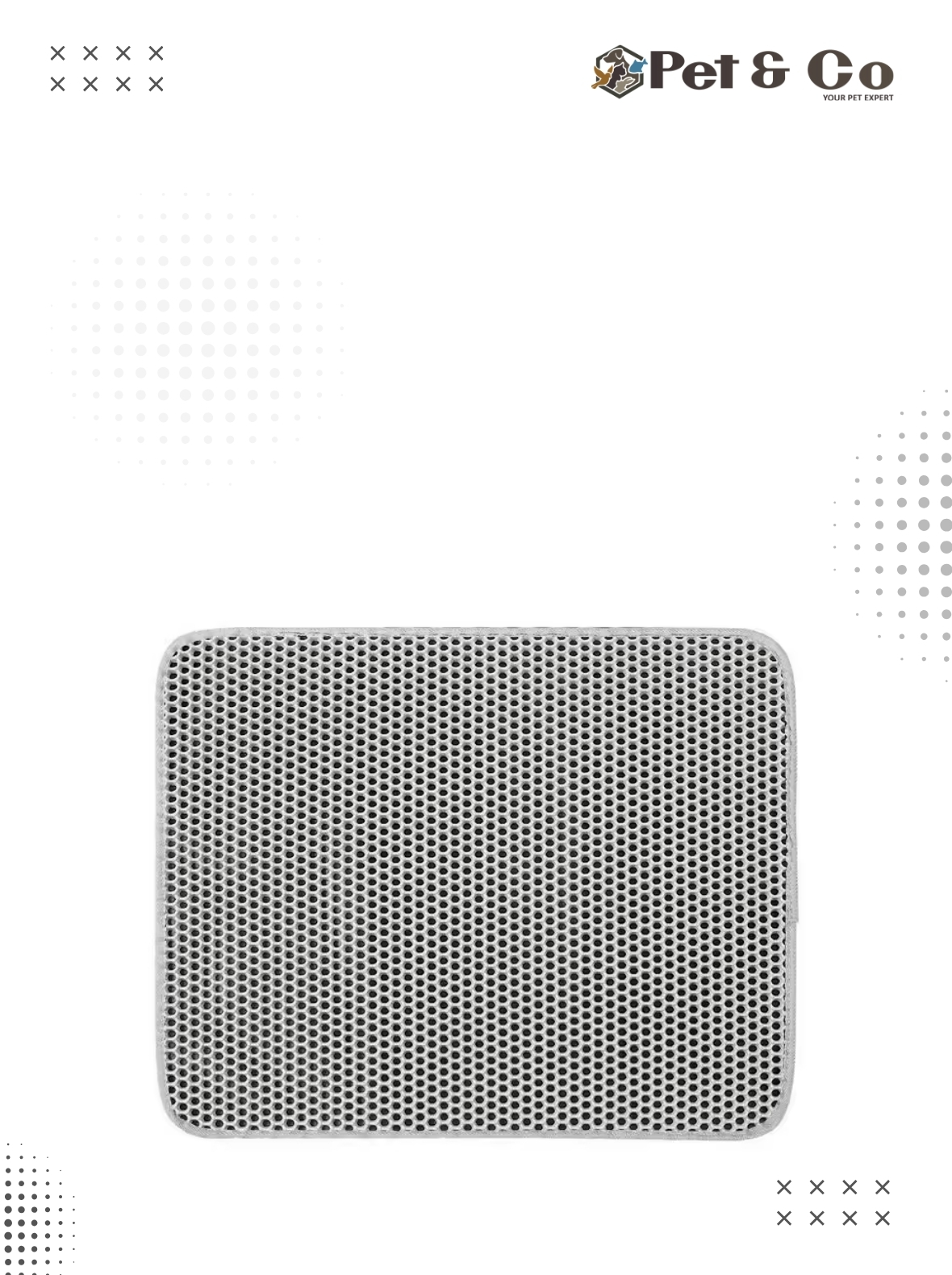 auto-draft-1769059111