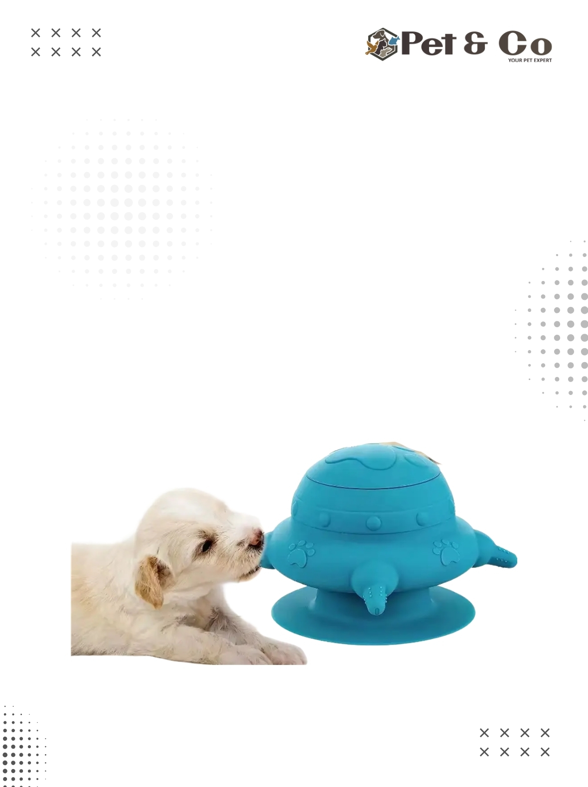 multiple-milk-feeder-for-puppy-kitten-1768197332