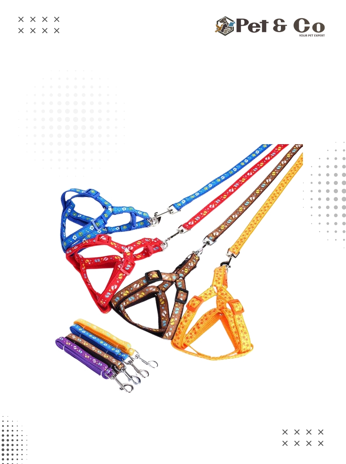 bone-print-harness-and-leash-small-dogs-and-cats-1772864917