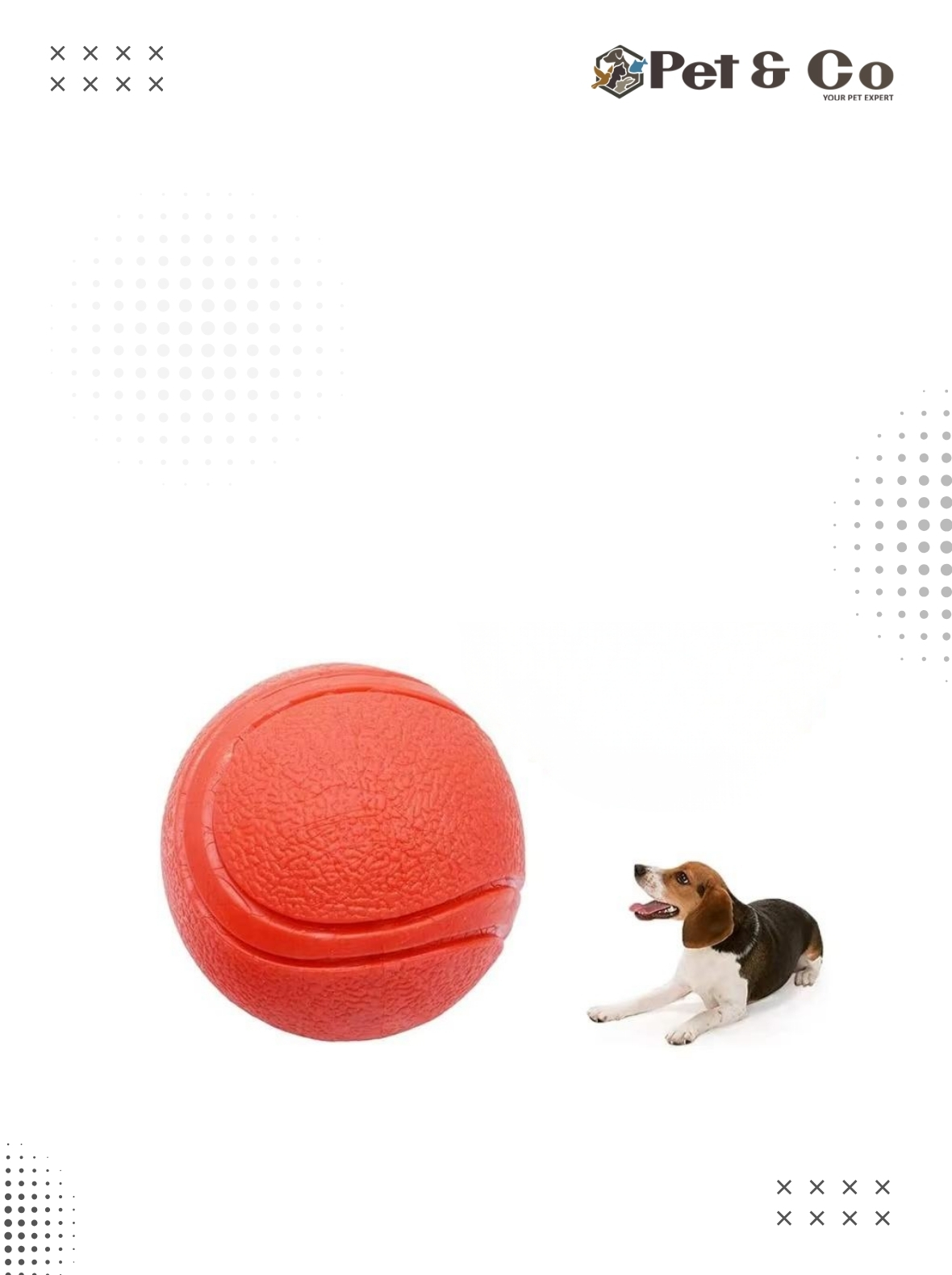 hard-rubber-ball-for-dogs-large-1773029756