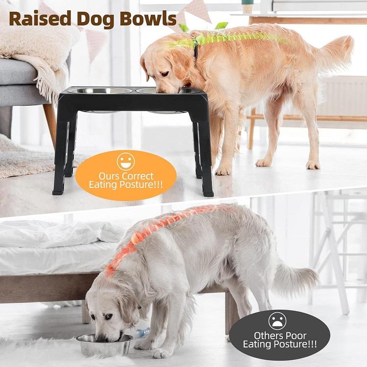 elevated-food-water-stainless-steel-bowls-for-cats-dogs-large-1776233719