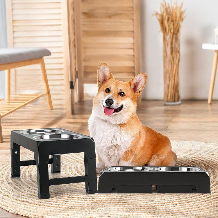 elevated-food-water-stainless-steel-bowls-for-cats-dogs-large-1776233723