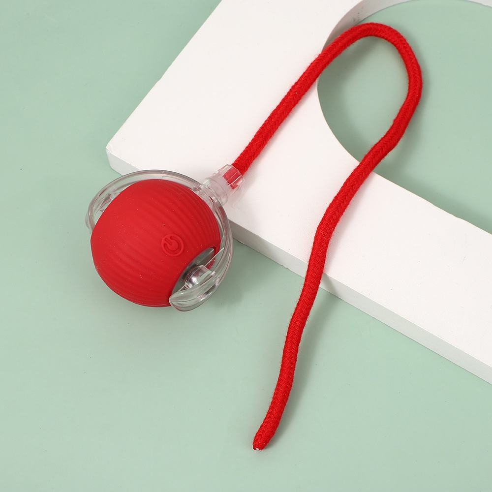smart-self-rolling-toy-with-tail-1779704991