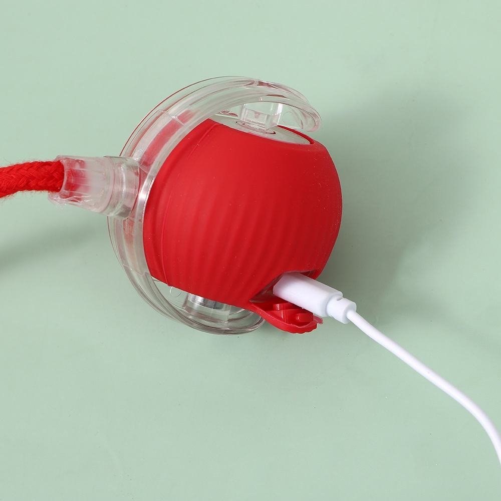 smart-self-rolling-toy-with-tail-1779704993