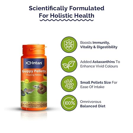 intan-guppy-pellets-floating-fish-food-60g-1780632084