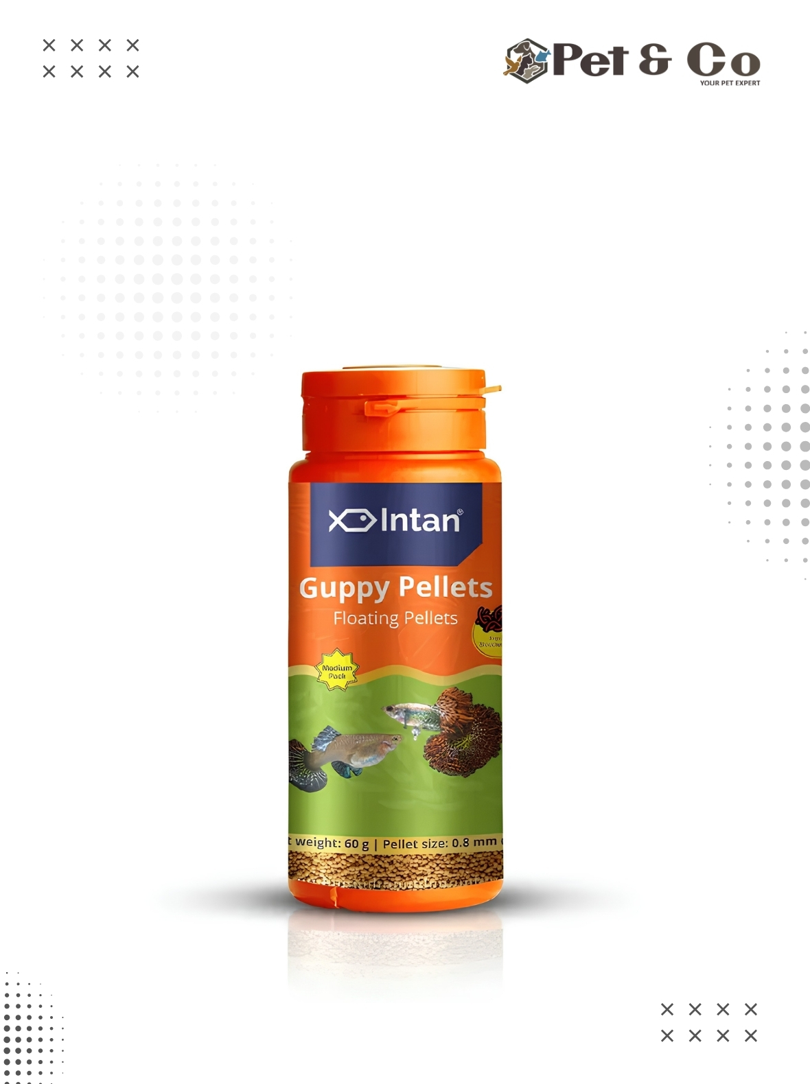 Intan Guppy Pellets - Floating Fish Food 60G